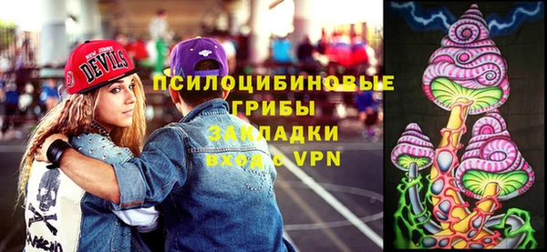 spice Алексин