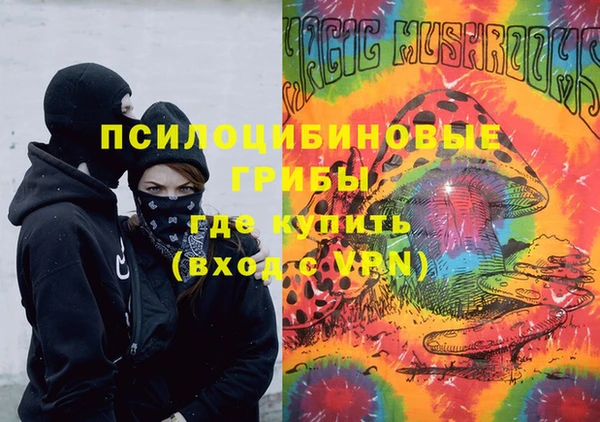 spice Алексин