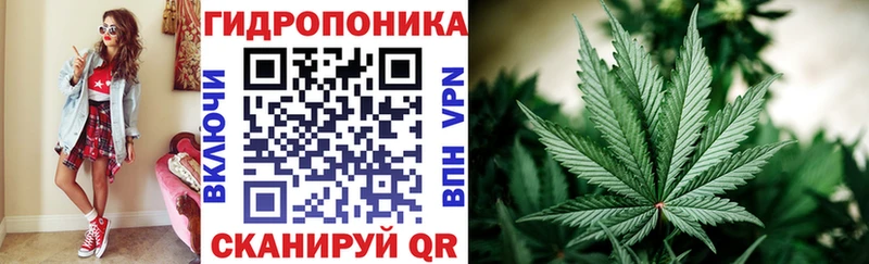 Конопля конопля  продажа наркотиков  Бердск 